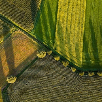 Grundstück - Beispiel